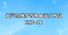 超聲經(jīng)顱多普勒血流分析儀EXP-9D